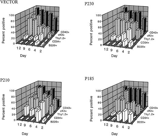 Fig. 3. Exogenous hematopoietic growth factors block the differentiation-inducing effects of the p185, p210, and p230 Bcr-Abl proteins in primary bone marrow cells. / After retroviral-mediated gene transfer and expansion in the presence of cytokines and autologous stroma, GFP-positive cells were analyzed for the expression of surface markers associated with B cells (B220), and stem cells (CD34, Thy1.2, cKit, and CD 43) at the indicated times after infection.
