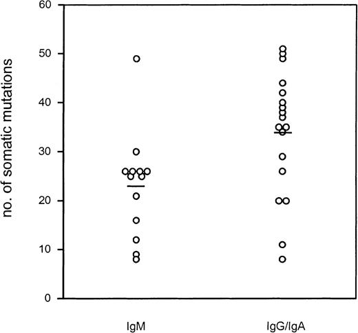 Fig. 2. The number of somatic mutations versus the H chain isotype (IgM or IgG/IgA). / The lines represent the average amount of mutations of IgM+FLs and isotype-switched FLs, respectively.