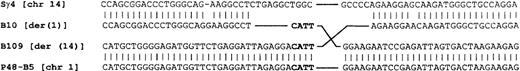 Fig. 7. Sequence of the der(1) and der(14) breakpoints aligned with Sγ4 and the normal sequence of chromosome 1. / Clone B109 was derived from cosmid S7D (Figure 3) and corresponds to the der(14) chromosome. Clone B10 is derived from cosmid S5A (Figure 3) and corresponds to the der(1) chromosome. P48-B5 is derived from the normal chromosome 1 P1. The switch gamma 4 sequence was obtained from GenBank. It is uncertain whether the minor differences between the switch gamma 4 sequence and the B10 sequence represent polymorphism, sequencing errors, or differences arising during the translocation.