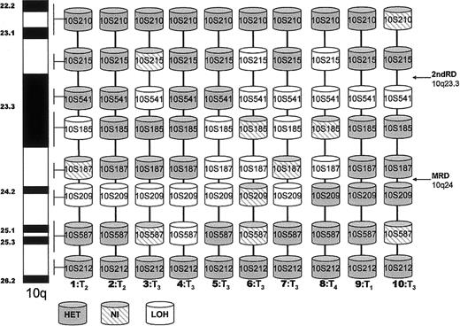 Fig. 1. Loss of heterozygosity on 10q in CTCL. / Diagrammatic representation of LOH detected by using 8 microsatellite markers on 10q 22-26 in 10 patients with mycosis fungoides. NI, noninformative; HET, retention of heterozygosity; T1-4, cutaneous stage MF; MRD, minimal region of deletion; 2ndRD, second region of deletion.