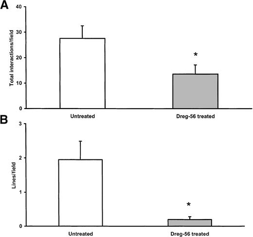 Fig. 3. Role of L-selectin in isolated neutrophil recruitment. / Total interactions (A) and line formation (B) with isolated neutrophils (n = 4). The L-selectin antibody significantly reduced interactions and line formation. *P < .05 compared to untreated.