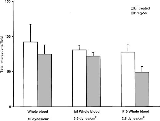 Fig. 5. Total interactions with blood on immobilized E-selectin (n = 4 for each group). / The number of interactions was maintained with whole blood and blood diluted one fifth and one tenth, regardless of the presence or absence of L-selectin antibody.