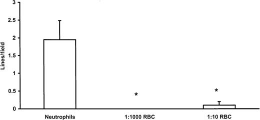 Fig. 6. Effect of red blood cell addition to line formation with neutrophils on immobilized E-selectin (n = 4). / Lines of neutrophils were noted with isolated neutrophils but were significantly reduced by the addition of red blood cells in the ratios of 1000 or 10 red blood cells for every neutrophil. *P < .05, compared to neutrophils alone.