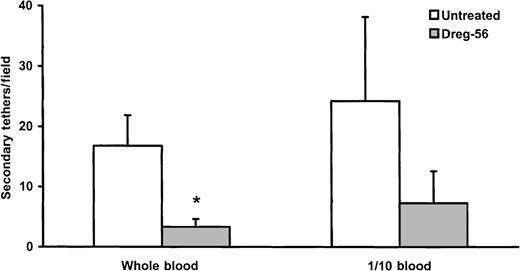 Fig. 7. Secondary interactions with whole blood and one-tenth blood (n = 4-17). / There were similar numbers of secondary tethers between the whole and one-tenth diluted blood. L-selectin antibody significantly reduced the number of secondary tethers in whole blood. *P < .05, compared to untreated.