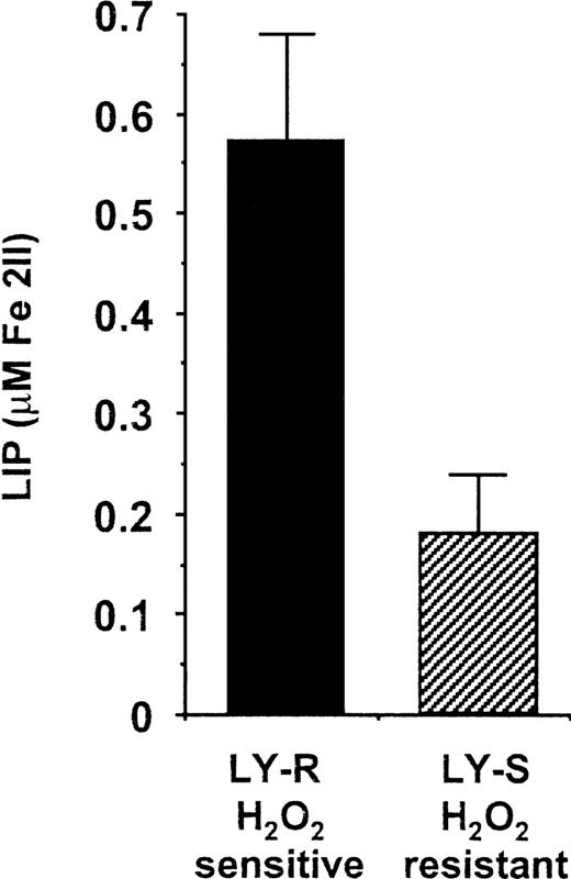 Fig. 1. LIP levels in LY cells. The cellular chelatable iron content in living LY cells was assessed as described in “Materials and methods” using CA, a metallosensitive fluorescent probe, and SIH, a fast-acting chelator. The estimated values of LIP are expressed as a mean ± SE and were obtained from 5 independent measurements made on separate cultures. The results are significantly different,P < .01.