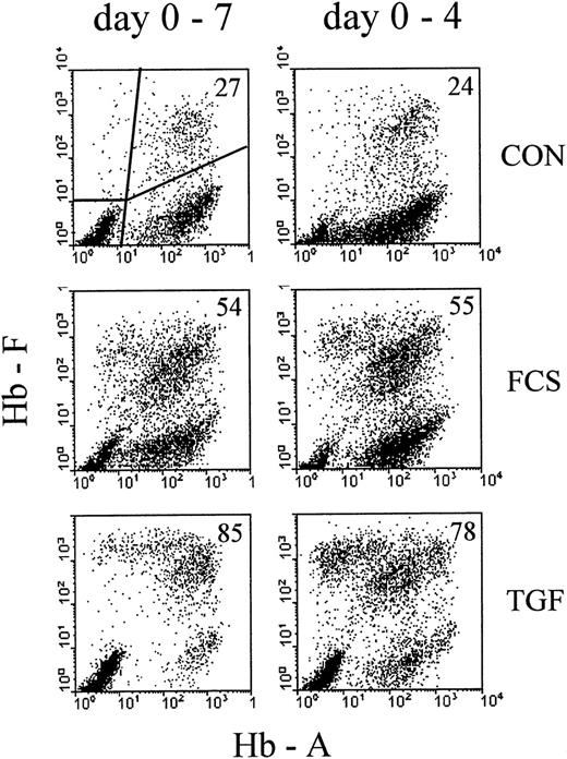 Fig. 1. Profiles of correlated cellular hemoglobin contents after treatment with 30% FCS or 10 ng/ mL rhTGFβ1. / Comparison between continuous exposure (days 0-7, left column) and exposure for the first 4 days of culture (days 0-4, right column). Analysis on day 7 of culture. Cultures were mixed into single-cell suspensions and the correlated contents of HbF and HbA for each individual cell measured by 2-color flow cytometry. Each analyzed cell sample results from a mixture of about 100 colonies. Each profile results from 10 000 intact nucleated cells with normal DNA content, gated by Hoechst fluorescence (see “Materials and methods”). The proportions of F+ cells (percentage of all Hb+ cells, see “Materials and methods”) are indicated in the upper right corner of each profile.