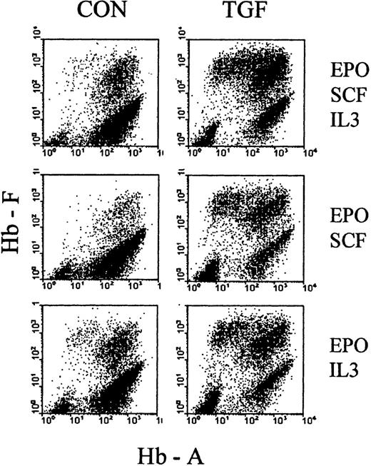 Fig. 8. Effect of TGFβ under different cytokine combinations. / Cultures were initiated in media with different combinations of cytokines (SCF + IL3 + EPO, SCF + EPO, IL3 + EPO) in the presence or absence of TGFβ (as indicated in the figure). After 4 days, all cultures were reseeded without TGFβ in fresh medium with the full complement of SCF, IL3, and EPO. Examples of hemoglobin profiles from day 8 cultures (4 days after reseeding). See Table 1 for numerical evaluations.