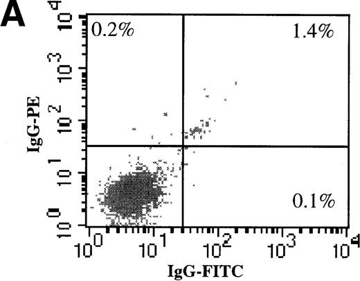 Fig. 3. AdGFP transduction of CD38 ± subsets of mPB CD34+ cells. / (A) The purity of CD34+/CD38+ and CD34+/CD38− selected cells was analyzed by dual color FACs immediately after separation with the use of magnetic beads. (A) Total cells stained with FITC- and PE-labeled isotype control antibodies. (B) Total cells stained with PE-conjugated anti-CD34 and FITC-conjugated anti-CD38 antibodies. (C) CD38− subset following negative bead selection, stained with anti-CD34 and FITC-conjugated anti-CD38 antibodies. (D) Transduction of CD34+/CD38+ (□) and CD34+/CD38−(○) cells as assessed by FACs analysis 3 days after infection with AdGFP.