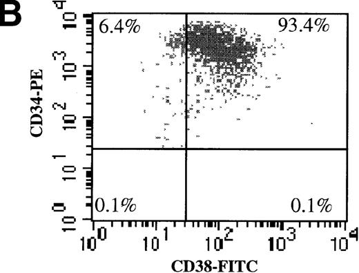 Fig. 3. AdGFP transduction of CD38 ± subsets of mPB CD34+ cells. / (A) The purity of CD34+/CD38+ and CD34+/CD38− selected cells was analyzed by dual color FACs immediately after separation with the use of magnetic beads. (A) Total cells stained with FITC- and PE-labeled isotype control antibodies. (B) Total cells stained with PE-conjugated anti-CD34 and FITC-conjugated anti-CD38 antibodies. (C) CD38− subset following negative bead selection, stained with anti-CD34 and FITC-conjugated anti-CD38 antibodies. (D) Transduction of CD34+/CD38+ (□) and CD34+/CD38−(○) cells as assessed by FACs analysis 3 days after infection with AdGFP.