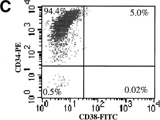 Fig. 3. AdGFP transduction of CD38 ± subsets of mPB CD34+ cells. / (A) The purity of CD34+/CD38+ and CD34+/CD38− selected cells was analyzed by dual color FACs immediately after separation with the use of magnetic beads. (A) Total cells stained with FITC- and PE-labeled isotype control antibodies. (B) Total cells stained with PE-conjugated anti-CD34 and FITC-conjugated anti-CD38 antibodies. (C) CD38− subset following negative bead selection, stained with anti-CD34 and FITC-conjugated anti-CD38 antibodies. (D) Transduction of CD34+/CD38+ (□) and CD34+/CD38−(○) cells as assessed by FACs analysis 3 days after infection with AdGFP.