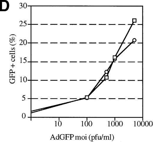 Fig. 3. AdGFP transduction of CD38 ± subsets of mPB CD34+ cells. / (A) The purity of CD34+/CD38+ and CD34+/CD38− selected cells was analyzed by dual color FACs immediately after separation with the use of magnetic beads. (A) Total cells stained with FITC- and PE-labeled isotype control antibodies. (B) Total cells stained with PE-conjugated anti-CD34 and FITC-conjugated anti-CD38 antibodies. (C) CD38− subset following negative bead selection, stained with anti-CD34 and FITC-conjugated anti-CD38 antibodies. (D) Transduction of CD34+/CD38+ (□) and CD34+/CD38−(○) cells as assessed by FACs analysis 3 days after infection with AdGFP.