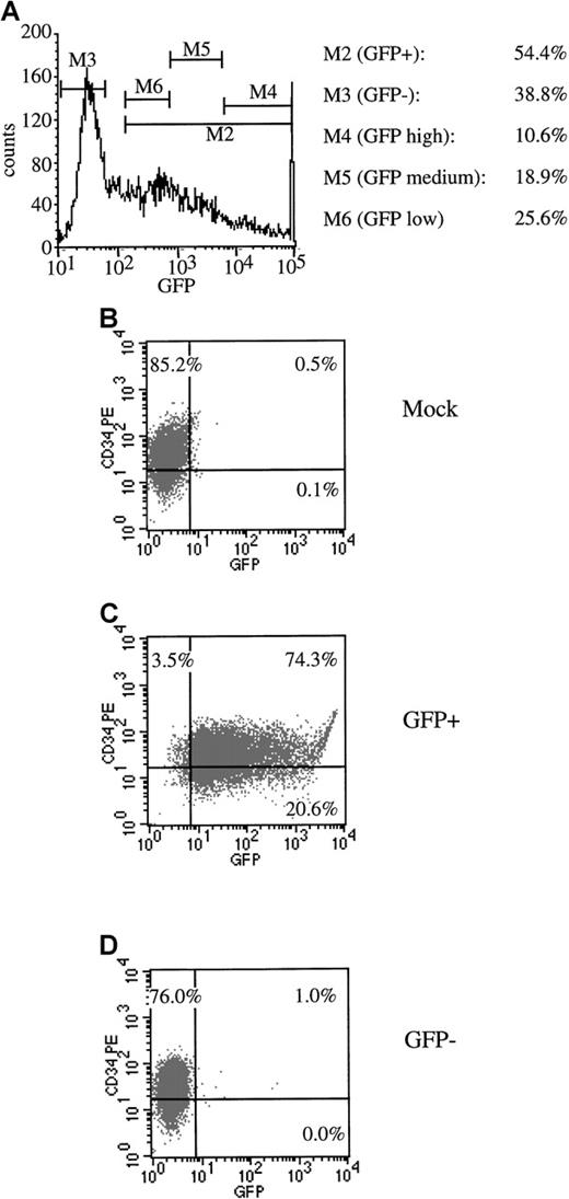 Fig. 4. Flow cytometric sorting of transduced progenitor cells. / CD34+ mPB cells were transduced with AdGFP at an MOI of 2000. (A) An example of sorting gates set to collect GFP− and total GFP+ cells as well as GFP+ cells that exhibited high, medium, and low fluorescence. Post-sort FACS analysis was performed to check the purity of the sort. (B) Mock-infected cells. (C) GFP+sorted cells. (D) GFP− sorted cells.