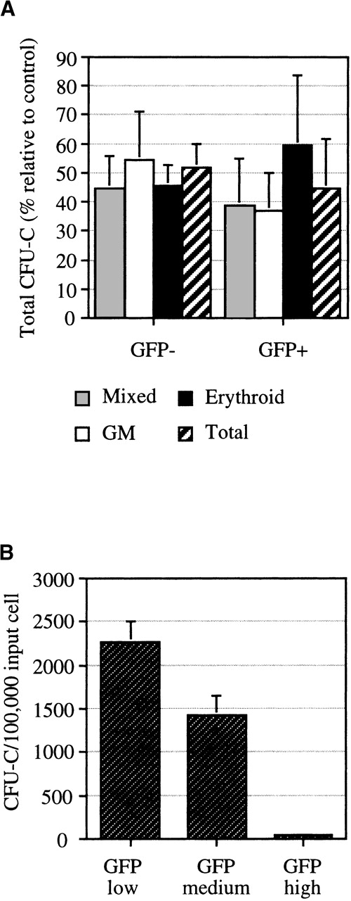 Fig. 5. CFU-Cs in sorted AdGFP-infected cells. / After sorting for GFP expression, colony assays were performed to assess CFU-C content of the fractionated cells. (A) Values represent the total number of CFU-Cs (calculated as frequency of CFU-Cs × the percentage of cells in each fraction) in GFP+ and GFP− fractions relative to the total CFU-Cs in the control (AdGFP) population. Error bars indicate SEM from 6 independent experiments. (B) Total CFU-Cs in GFP+ fractions exhibiting low, medium, and high fluorescence in experiment 1. Values were calculated as the CFU-C frequency × the percentage of cells in each fraction. CFU-C frequency is an average calculated from triplicate plates. Error bars represent the SEM.