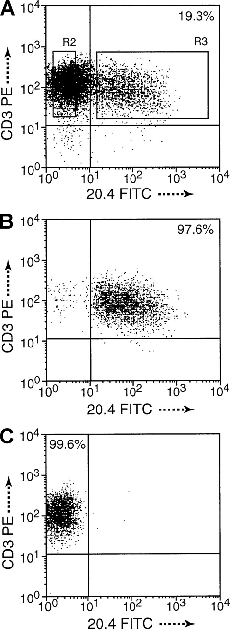 Fig. 1. Cell purification by dual-color FACSort. / (A) Monitoring of gene expression (19.3%) 3 days after transduction of NIT. (B) CD3+ and NGFR+ T cells, termed NIT+ fraction, and (C) CD3+ and NGFR−, termed NIT− fraction, were sorted to high purity, 97.52% and 99.54%, respectively, in this example. Purity of sorted cell fractions was above 95% in all experiments. Cells of the unsorted fractions were included in the functional assays.