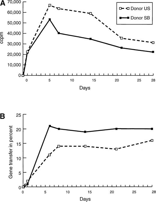 Fig. 2. Proliferation and gene transfer efficiency of purified T-cell populations. / (A) Proliferation of and (B) gene transfer of NIT into T cells of donor U.S. and donor S.B. were compared at different time points after initiation with irradiated autologous EBV-transformed B cells. Cultures were restimulated 24 hours before the assays. Background proliferation of the irradiated BLCL was subtracted from the proliferation value of the stimulated T cells. To standardize the gene transfer procedure, previously frozen supernatant was used, explaining the relatively low gene transfer efficiency in this experiment. Cells, transduced with fresh supernatant as controls, showed a 30% to 50% higher gene expression at all time points.