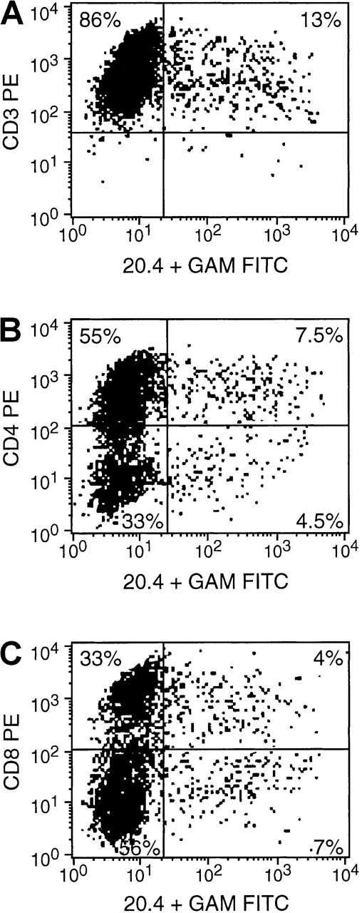 Fig. 4. FACS analysis obtained 3 days after gene transfer. / Cells were stained with anti-CD3, anti-CD4, or anti-CD8 and anti-NGFR (monoconal antibody 20.4). The results indicate an equal transvection of CD4 and CD8 lymphocyte subsets, reflected by the CD4/CD8 ratio of 1.6 in both the transduced NIT+ T cells and the nontransduced NIT− T-cell fraction.