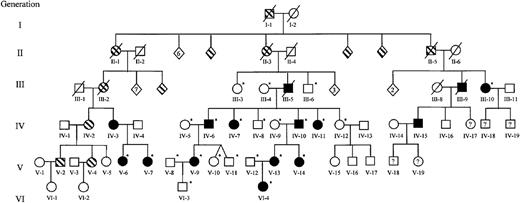 Fig. 1. Extended family pedigree. / Squares represent males; circles, females; diamonds, unspecified gender. The founder and partial pedigrees of 3 of his 12 children are depicted. Documented thrombocytopenia is indicated by solid figures; presumed or reported thrombocytopenia, striped figures; unaffected, open figures; unknown platelet status, question mark. Individuals who were studied during the genomic scan and those recruited to further delimit the area of linkage are indicated by an asterisk. Numbers inside diamonds indicate the number of offspring. Three unaffected children of unaffected individuals (not depicted) were included in the complete blood count and TPO data but were not used for genotyping. The generation and person numbers for each individual are used in Figures2-7.