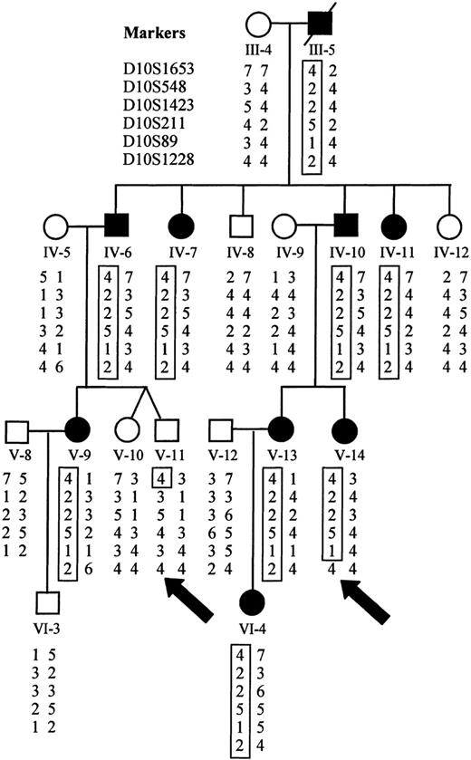 Fig. 8. Haplotype analysis demonstrates sites of recombination. / Haplotypes for markers on chromosome 10 were derived from genotyping data. The disease haplotype is boxed for each affected individual. Recombination is evident in affected individual V-14 at D10S1228 and in unaffected individual V-11 at D10S1653 (marked by arrows).