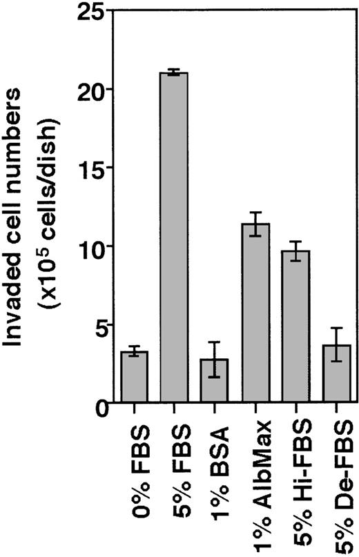 Fig. 2. Invasion of THS119 cells into the TBR59 cell layers. / The 2.5 × 106 THS119 cells were cultured on TBR59 cells for 3 hours at 33°C with or without supplements. Adhered and suspended THS119 cells were retrieved by incubation and rinsed with EDTA-PBS. Invading cells remained under the stromal cell layer, and cells staying on the surface of the stromal cells were retrieved and counted. Invaded cell numbers were obtained by subtracting the numbers of noninvaded cells from the input cell numbers. Hi-FBS, heat-inactivated FBS at 90°C for 10 minutes; De-FBS, FBS delipidated by charcoal stripping; AlbMax, lipid-conjugated BSA. Data are the mean ± SD of 3 dishes: 5% FBS, AlbMax, and Hi-FBS versus 0% FBS (P < .0001 by Bonferroni/Dunn test); 0% FBS versus 1% BSA (P = .1639 by Bonferroni/Dunn test); and 0% FBS versus De-FBS (P = .028 by Bonferroni/Dunn test).
