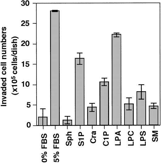 Fig. 3. Effect of several kinds of lipids on the ability of THS119 to invade TBR59 cell layers. / The 2.5 × 106 THS119 cells were cultured on TBR59 cell layers for 3 hours at 33°C with or without 5 μg/mL of indicated lipids. Adhered and suspended THS119 cells were retrieved by incubation and rinsed with EDTA-PBS. Invaded cell numbers were obtained by subtracting the numbers of noninvaded cells from the input cell numbers. Sph, sphingosine; S1P, sphingosine-1-phosphate; Cra, ceramide; C1P, ceramide-1-phosphate; LPA, lysophosphatidic acid; LPC, lysophosphatidyl choline; LPS, lysophosphatidyl serine; and SM, sphingomyelin. Data are the mean ± SD of 3 dishes: S1P, and LPA versus 0% FBS (P < .0001 by Bonferroni/Dunn test).