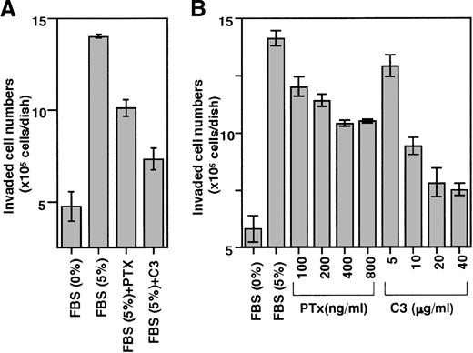 Fig. 4. Effect of PTx and C3 exotoxin on the ability of THS119 cells to invade TBR59 cell layers. / SLO permeabilized 2.5 × 106 THS119 cells were cultured on TBR59 cell layers for 3 hours at 33°C. (A) 200 ng/mL PTx or 10 μg/mL C3 exotoxin (C3) was added during permeabilization. Uptake of large molecules during permeabilization as measured by uptake of FITC-Dextran (0.5 mg/mL) was seen in 46% of the total cells. Cell viability was monitored after permeabilization by addition of 200 ng/mL propidium iodide, and was 88%. (B) Dose-response relation for toxins. PTx was added at 100 to 800 ng/mL and C3 exotoxin was added at 5 to 40 μg/mL during permeabilization. Uptake of large molecules was seen in 49% of total cells and cell viability was 84%. Data are the mean ± SD of 3 dishes: C3, and PTx versus 5% FBS (P < .0001 by Bonferroni/Dunn test) in (A); C3, and PTx versus 5% FBS (P < .0001 by Bonferroni/Dunn test) in (B), except for 5 μg/mL C3 versus 5% FBS (P = .0004 by Bonferroni/Dunn test).