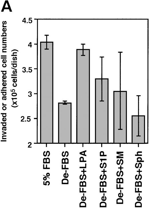 Fig. 8. Effect of S1P and LPA on the ability of Lin−/c-Kit+ bone marrow cells to invade stromal cell layers. / The 5 × 105 bone marrow–derived Lin−/c-Kit+ hematopoietic progenitor cells were seeded on TBR59 (A) and TBR311 (B) bone marrow stromal cell lines and cultured for 17 hours at 33°C with or without 5 μg/mL of the indicated lipids. Suspended hematopoietic cells were retrieved by incubation and rinsed with EDTA-PBS. Adhered and invaded cell numbers were obtained by subtracting the numbers of cells retrieved in the suspended fraction from the input cell numbers. LPA, lysophosphatidic acid; S1P, sphingosine-1-phosphate; SM, sphingomyelin; Sph, sphingosine; De-FBS, 5% delipid FBS by charcoal stripping. Data are the mean ± SD of 3 dishes: De-LPS + LPA versus De-LPS (P = .0074 by Bonferroni/Dunn test) and De-LPS + S1P versus De-LPS (P = .1802 by Bonferroni/Dunn test) in (A); De-LPS + LPA versus De-LPS (P < .0001 by Bonferroni/Dunn test) and De-LPS + S1P versus De-LPS (P = .024 by Bonferroni/Dunn test) in (B).