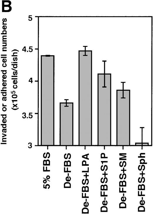 Fig. 8. Effect of S1P and LPA on the ability of Lin−/c-Kit+ bone marrow cells to invade stromal cell layers. / The 5 × 105 bone marrow–derived Lin−/c-Kit+ hematopoietic progenitor cells were seeded on TBR59 (A) and TBR311 (B) bone marrow stromal cell lines and cultured for 17 hours at 33°C with or without 5 μg/mL of the indicated lipids. Suspended hematopoietic cells were retrieved by incubation and rinsed with EDTA-PBS. Adhered and invaded cell numbers were obtained by subtracting the numbers of cells retrieved in the suspended fraction from the input cell numbers. LPA, lysophosphatidic acid; S1P, sphingosine-1-phosphate; SM, sphingomyelin; Sph, sphingosine; De-FBS, 5% delipid FBS by charcoal stripping. Data are the mean ± SD of 3 dishes: De-LPS + LPA versus De-LPS (P = .0074 by Bonferroni/Dunn test) and De-LPS + S1P versus De-LPS (P = .1802 by Bonferroni/Dunn test) in (A); De-LPS + LPA versus De-LPS (P < .0001 by Bonferroni/Dunn test) and De-LPS + S1P versus De-LPS (P = .024 by Bonferroni/Dunn test) in (B).