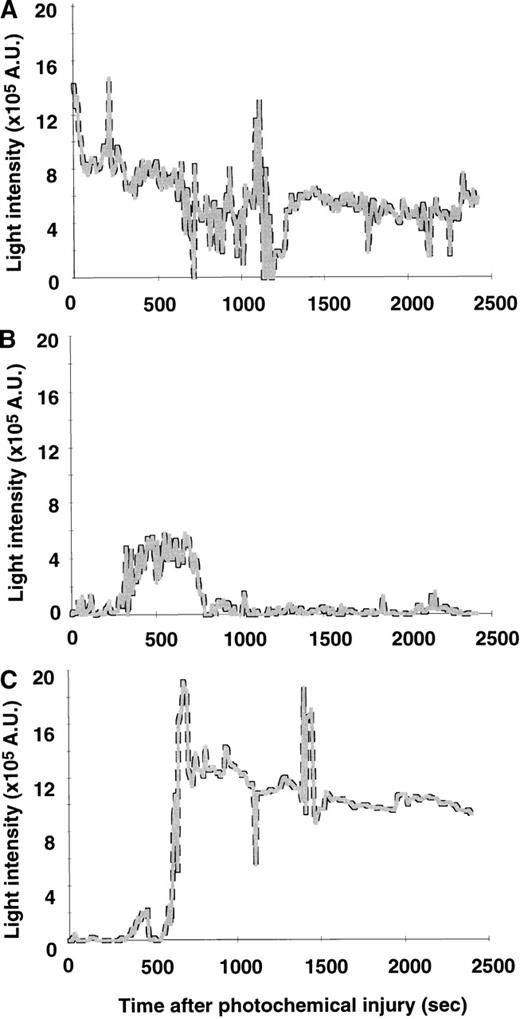 Fig. 2. Thrombus progression after photochemical injury. / Typical patterns of light intensity recorded during 40 minutes after photochemical injury of the carotid artery of PAI-1+/+ mice (A), PAI-1−/− mice (B), and recombinant murine PAI-1 treated PAI-1−/− mice (C).
