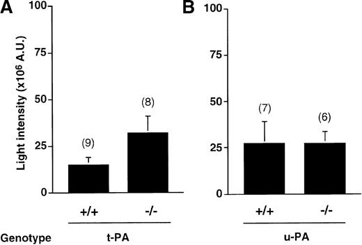Fig. 4. Thrombus generation in t-PA+/+ and t-PA−/− mice versus u-PA+/+ and u-PA−/− mice. / Cumulative thrombus formation over 40 minutes after a mild 2-minute carotid artery photochemical injury, expressed as total light intensity; +/+: wild-type mice;−/−: t-PA– or u-PA–deficient homozygotes. Data are the mean ± SEM for the number of mice indicated in parentheses.