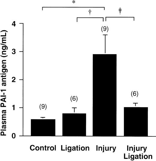 Fig. 6. Release of PAI from the vessel wall. / PAI-1 antigen levels in plasma 40 minutes after a 3-minute carotid artery photochemical injury, compared with control values (rose-bengal injection without injury); effect of ligation without injury (second bar) and of ligation in combination with injury (fourth bar) on PAI-1 plasma concentrations is also shown. Data are mean ± SEM for the number of animals indicated between parenthesis. *P < .01 by Dunn's multiple comparison test in comparison with the groups indicated by the horizontal brackets; †P < .05; ‡P < .05 by alternative t test for the direct comparison between the groups indicated; these groups had unequal SD distribution.