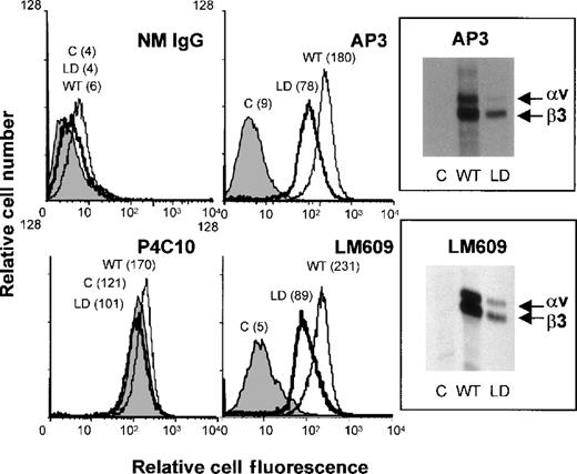 Fig. 7. Leu262Proβ3 is expressed in a complex with αv in 293 cells. / Untransfected (C) 293 cells or cells stably transfected with WT β3 or Leu262Proβ3 (LD) were analyzed by flow cytometry. The mean fluorescence for each cell line is shown. The 2 left-hand panels show binding of a negative-control antibody (nonimmune mouse IgG) and a positive-control antibody (polyclonal anti-β1). The 2 right-hand panels show the results of flow cytometry and immunoprecipitation of biotin surface-labeled cells with antibodies against β3 (AP3) or the αvβ3complex (LM609). The positions of αv and β3are indicated.