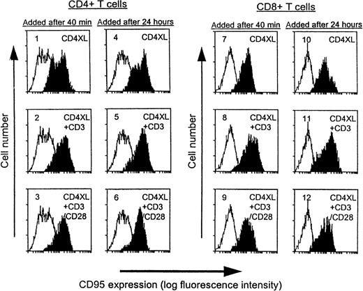 Fig. 2. CD4XL alone is sufficient to up-regulate CD95 expression in both CD4 T cells and CD8 T cells. / PBTs were pretreated with CD4XL at 37°C for 40 minutes or for 24 hours. Thereafter, anti-CD3 mAb was added with or without anti-CD28 mAb and cells were cultured for 18 hours. CD95 expression was analyzed by flow cytometry. Histograms obtained from the indicated conditions are shaded, and histograms from time-matched medium control (unshaded) are also indicated in panels 1 through 12. Data represent 1 of 3 experiments.