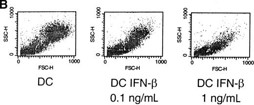 Fig. 1. Type-I IFNs alter the morphology of DC derived from CD14+ precursors. / Mature DC were produced in vitro by culture with GM-CSF, IL-4, and TNF-α, as described in Materials and methods. IFN-β was added to the wells at a final concentration of 1 ng/mL on days 1 and 4 of culture. (A) Photographs of DC were taken on day 10 of culture, as described in Materials and methods: control DC (A, top), IFN-β–cultured DC (A, bottom). Arrows indicate dendritic processes within veils, and the 20-μm reference bar is identical for both panels. (B) On day 10 of culture, cells were harvested and subjected to flow cytometric analysis to evaluate light-scattering properties by forward (x-axis) and side (y-axis) scatter. Nonviable cells were eliminated from analysis using propidium iodide. Results are representative of 5 independent experiments. IFN-β was added at days 1 and 4 of culture at the indicated concentrations.