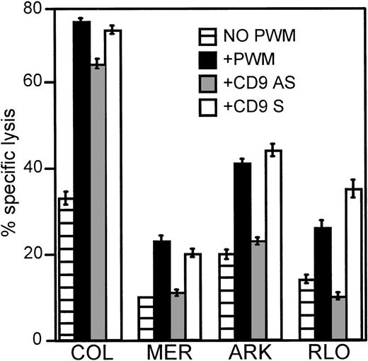 Fig. 9. Antisense oligonucleotides against CD9 reduce or abrogate the enhanced susceptibility to lysis induced by PWM. / Myeloma cell lines COL, MER, ARK, and RLO were used as targets in 4-hour 51Cr release assays. These myeloma cells were first cultured in the presence of 150 μmol/L CD9 antisense or sense oligonucleotides for 2 hours followed by an additional 2 hours in the presence of 1% PWM prior to labeling with 51Cr. E:T ratios were 30:1. The data represents the mean values ± SEM of 3 similar experiments. P ≤ .01.