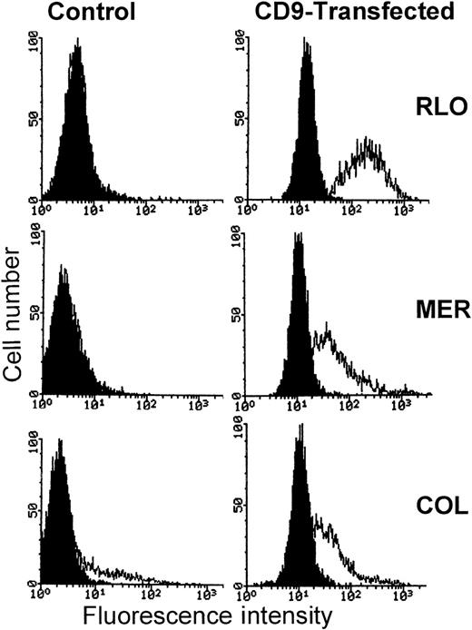 Fig. 10. Comparison of CD9 expression on the surface of CD9-transfected and parental myeloma cell lines. / Left panels represent parental cell lines. The right panels represent CD9-transfected cell lines. The curve on the left in each panel is IgG1 control antibody, and the curve on the right in each panel represents the expression of CD9 using antibody ALB6.