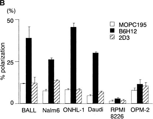 Fig. 1. Immobilized anti-IAP/CD47 mAb (B6H12) induces the polarization in human B cell lines. / (A) Phase-contrast micrographs of BALL cells on immobilized anti-IAP/CD47 mAbs. BALL cells were cultured on the plates coated with each mAb (10 μg/mL) for 5 hours. Immobilized B6H12 could induce the elongated and head–tail morphology (polarization) in BALL cells. (B6H12, 2D3: anti-IAP/CD47 mAb; MOPC195: mouse IgG2b). Initial magnification, × 400. (B) The rate of polarization induced by the immobilized B6H12 in human B-cell lines. Cells were cultured on the plates immobilized with B6H12, and the rate of polarization was calculated as described in “Materials and Methods.” In 2 pre-B cell lines (BALL and Nalm6) and 2 lymphoma cell lines (ONHL-1 and Daudi), the polarization on the immobilized B6H12 was prominently observed. Data are shown as the mean ± SD in 3 independent experiments.
