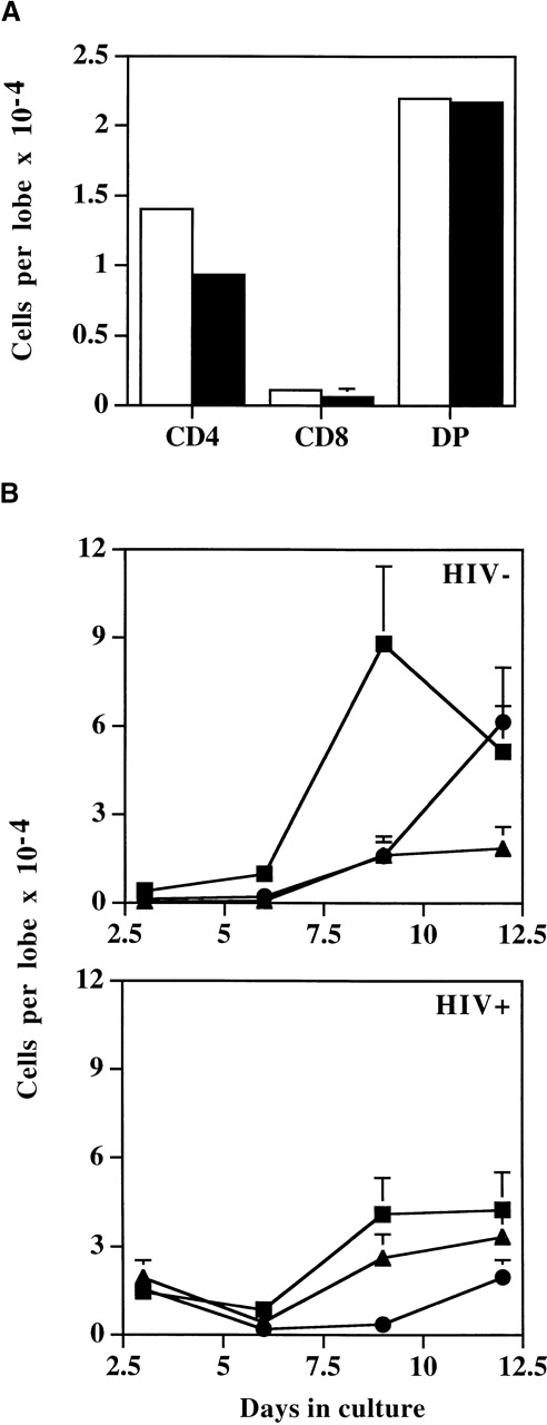 Fig. 1. FTOC assessment of progenitor function in HIV+ patients. / (A) CD4+, CD8+, and CD4+/CD8+ (DP) cell development in FTOC from peripheral blood of HIV+ patients. Samples were split; half were CD34+ cell enriched (▪), and the other half were used unfractionated (□). (B) Kinetics of development in FTOC from unfractionated PBMC of HIV− and HIV+participants. Immature cells were CD4+/CD3− (▪), mature cells (•) were CD3+/CD4+ or CD8+ cells (▴) represents double positive cells. Graphs show mean ± SEM of cells from 3 different donors.