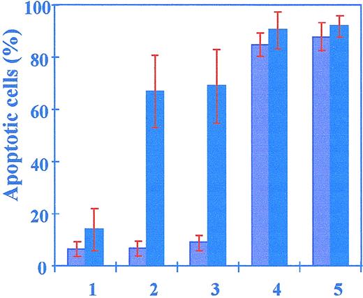 Fig. 1. Apoptosis induction by specific and nonspecific inhibitors of the proteasome. / B-CLL cells (dark columns) and PBL cells (light columns) were untreated (lane 1) or treated with 2.5 μmol/L lactacystin (lane 2), 2.5 μmol/L clasto-lactacystin β-lactone (lane 3), 1 μmol/L MG-132 (lane 4), or 25 μmol/L LLnL (lane 5). Apoptotic values were determined 24 hours after cell treatments. The results represent analyses of cells from 50 patients and 20 normal donors. Error bars indicate the standard deviation.