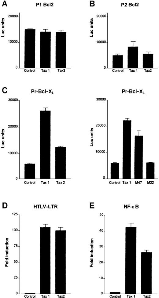 Fig. 3. Tax transactivates the Bcl-XL promoter through the NF-κB pathway in T cells. / Jurkat cells were transfected with HTLV-I Tax (Tax1), HTLV-II Tax (Tax2), M22, M47, or pCMV4 vector and (A) P1 Bcl2, (B) P2 Bcl2, (C) Pr Bcl-XL, (D) HTLV-LTR, or (E) NF-κB luciferase reporter constructs. Results are representative of 3 independent transfections.