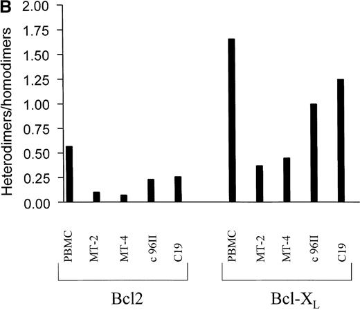 Fig. 4. Increased antiapoptotic homodimers to heterodimers in HTLV-I–transformed cells. / (A) Protein extracts from uninfected PBMCs, HTLV-I cell lines (MT-2 and MT-4), and HTLV-II cell lines (C19 and C96II) were immunoprecipitated with mixed antibodies against Bax, Bak, and BAD, and the immunocomplexes were probed with either Bcl2 or Bcl-XL(heterodimers). Depletion of Bax, BAD, and Bak was confirmed by Western blot, and the proteins in the depleted fraction were immunoprecipitated with antibodies directed against either Bcl2 or Bcl-XL (homodimers). The relative intensity of each band was calculated by densitometry and is presented as an arbitrary unit. (B) The ratio of heterodimers to homodimers was calculated from 2 independent immunoprecipitations.