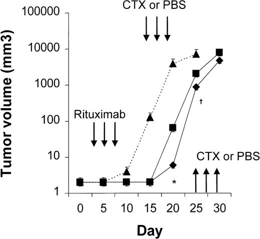 Fig. 9. Results with rituximab followed by CTX. / NOD/SCID mice that received transplants of 10 × 106Namalwa cells intraperitoneally were given 3 courses of rituximab (25 mg/kg) on days 3, 5, and 7 after transplantation and randomly assigned to receive 75 of mg/kg CTX (⧫) or PBS (▪) on days 15, 17, and 19 (first course) and on days 25, 27, and 29 (second course). CTX delayed tumor growth in comparison with results in PBS-treated controls but did not prevent tumor growth or induce significant tumor regression after tumor regrowth. The dotted line indicates tumor growth in untreated controls (▴). Results are mean ± SD values for tumor volume (n = 4 per group). *P = .003; †P = .02.