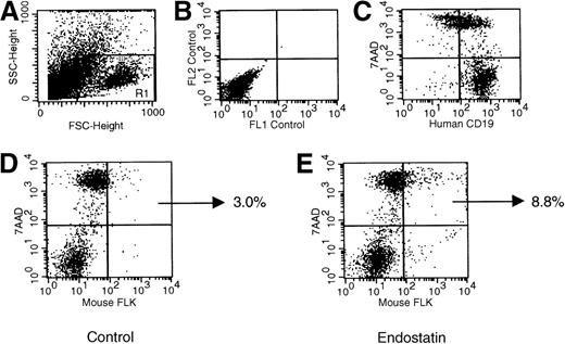 Fig. 10. Representative dot plots indicating the frequency of endothelial cell apoptosis in Namalwa tumors generated in NOD/SCID mice. / Tumors dissolved as single cells were evaluated by flow cytometry. Panel A shows forward and side scatters of the cell suspension and the analysis gate, panel B the negative control, and panel C the human CD19+ phenotype of the tumor. As indicated by the percentage of murine cells positive for FLK and 7-amino actinomycin D (panels D and E), the frequency of endothelial apoptotic cells was significantly increased in mice given endostatin.