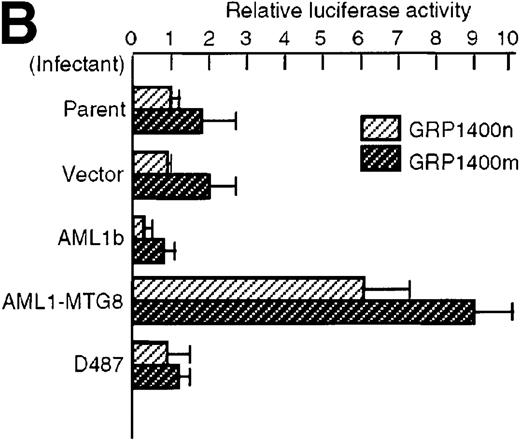 Fig. 3. Activation of the G-CSFR promoter by AML1-MTG8. / (A) Schematic representation of the promoter region of G-CSFRand its deletion mutants. (B) Activation of the G-CSFR promoter by AML1-MTG8. LG cells expressing either vector, AML1b, AML1-MTG8 or a deletion mutant of AML1-MTG8, D487, were transfected with G-CSFR–luciferase (pGL3) using DEAE-dextran. Transfection efficiency was normalized by cotransfection with pRL-TK as an internal control. pGRP1400n; normal 1370 bp promoter, pGRP1400m; a mutant (2 base substitution) of the AML1 consensus site of pGRP1400n. (C) AML1b interferes with the enhancing activity of AML1-MTG8 on theG-CSFR promoter. Cells were cotransfected with pGRP1400n and either LNSX, LNSX-AML1b, or LNSX-AML1-MTG8. LNSX-AML1b was added in addition to the effector plasmid AML1-MTG8 at 0.3 μg, 1 μg, and 3 μg in lanes 2, 3, and 4, respectively. The total amount of effector DNA was 6 μg each. LNSX was used to adjust the total amount of DNA. (D) Activity of 5′ deletion mutants of the G-CSFRpromoter in L-G cells. Cells were cotransfected with each mutant and either 3 μg of LNSX, LNSX-AML1b, or LNSX-AML1-MTG8. The activity of the control vacant reporter with LNSX was designated as being equal to 1.