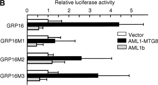 Fig. 4. Requirement for the C/EBP binding site for activation of the G-CSFR promoter by AML1-MTG8. / (A) Schematic representation of the base substitution of the mutants around the C/EBP site in the G-CSFR promoter. GRP16M1 is a mutant of the C/EBP consensus site. GRP16M2 is a mutant of the putative Sp1 site. GRP16M3 is a mutant of the Sp1 consensus site. (B) Effects of AML1-MTG8 on the activity of GRP16 mutants in L-G cells. Cells were cotransfected with each mutant reporter and either LNSX, LNSX-AML1b, or LNSX-AML1-MTG8.
