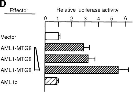 Fig. 5. Induced expression of C/EBPε by AML1-MTG8. / (A) Northern blot analyses showing the expression of C-EBPε mRNA. Total RNAs (5 μg of RNA) were prepared from L-G infectants cultured with IL-3, blotted, and hybridized with 32P- labeled human C/EBPε cDNA, mouse PU.1 cDNA, and human G3PDH cDNA. (B) Northern blot analyses of poly(A)+RNAs from hematopoietic cell lines. Northern blots were hybridized with human C/EBPα cDNA and human C/EBPε cDNA. (C) Gel mobility shift assay showing the binding activities of cell extracts from L-G infectants and in vitro synthesized C/EBPε protein. (D) AML1-MTG8 activates the promoter of the C/EBPε gene. Cells were cotransfected with pGL3-C/EBPε (1280 bp) and either 0.2 μg of LNSX, 0.2 μg of LNSX-AML1b, or various concentrations of LNSX-AML1-MTG8. LNSX-AML1-MTG8 was added at 0.05 μg, 0.1 μg, and 0.2 μg in lanes 2, 3, and 4, respectively.