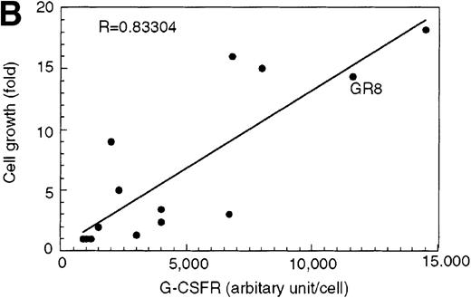 Fig. 7. Overexpression of G-CSFR stimulates cell proliferation in response to G-CSF. / (A) Growth curves of L-G cells infected with LNSX retroviruses carrying mouse G-CSFR cDNA or AML1-MTG8 cDNA in the presence of G-CSF. (B) Correlation between G-CSFR activity and the rate of proliferation in the presence of G-CSF. The 32Dcl3 transfected cells were inoculated into medium supplemented with 10 ng/ml of G-CSF at a cell density of 2 × 104 cells/mL, and cell numbers were counted with a Coulter counter after 5 days of incubation. (C) Cell morphology of G-CSFR transformed GR8 cells when cultured with G-CSF for 10 days. GR8 is a representative clone that expresses G-CSFR at a high level. Cells were stained with May-Gruenwald-Giemsa solution.