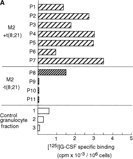 Fig. 8. High expression levels of G-CSFR in leukemic cells from patients with t(8;21) and hematopoietic cell lines with t(8;21). / (A) Ligand binding assays for G-CSFR activities in leukemic cells with or without t(8;21) in M2, and in normal granulocytes. (B) Northern blot analyses of poly(A)+RNAs from hematopoietic cell lines. Northern blots were hybridized with human G-CSFR, MPO, and G3PDH cDNA.
