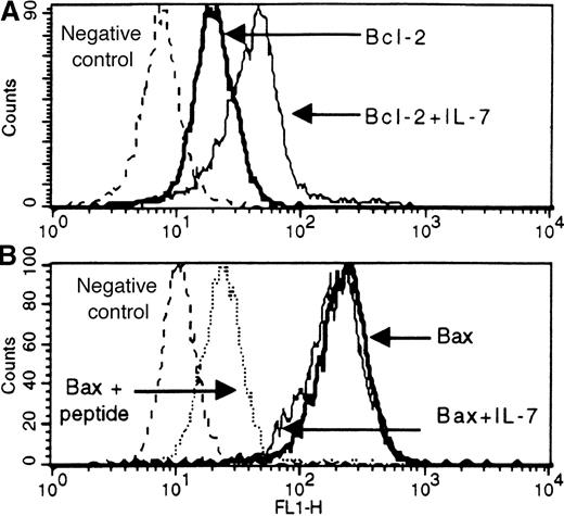 Fig. 3. Flow-cytometric detection of Bcl-2 (A) and Bax (B) antigens in untreated and IL-7-treated leukemic cells from a patient with cortical T-ALL. / Blast cells were fixed, permeabilized, and stained by either direct or indirect immunofluorescence for Bcl-2 (mouse monoclonal antibody) or Bax (rabbit polyclonal antibodies against Bax peptide sequences), respectively. Solid lines correspond to antigen staining in untreated and IL-7-treated cells (bold and thin solid lines, respectively). Dotted lines correspond to background fluorescence of cells stained either with irrelevant antibodies (A and B) or with Bax antibody blocked with an excess of the corresponding specific peptide (B). Expression changes representative of T-ALL responsive to IL-7 are shown.