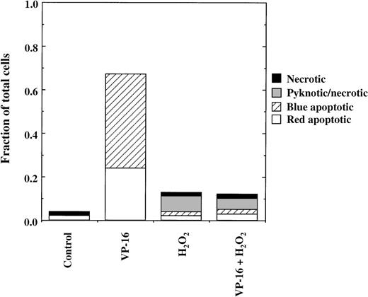 Fig. 3. Rapid inhibition of VP-16–induced apoptosis by H2O2. / JLP 119 cells were treated for 4 hours with 8.5 μmol/L VP-16 in the presence or absence of 75 μmol/L H2O2, added 30 minutes after the VP-16. Cell death was assayed by fluorescence microscopy, as described in “Materials and methods.”