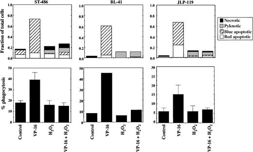 Fig. 7. Effect of H2O2 on chemotherapy-induced apoptosis and phagocytosis of Burkitt lymphoma cells. / The Burkitt lymphoma cell lines JLP 119, BL-41, and ST-486 were treated for 4 hours with VP-16 (8.5, 340, or 85 μmol/L, respectively) in the presence or absence of 75 μmol/L H2O2 and then subjected to phagocytosis by human monocyte-derived macrophages, as described in “Materials and methods.” The fractions of cells dying by apoptosis, pyknosis/necrosis, or typical necrosis are shown in the top row of graphs. Percent phagocytosis for these cell populations is shown in the lower row of graphs. The results represent the mean ± range or SD for 2 to 3 separate experiments for JLP 119 and ST-486 cells. The data for BL-41 represent 1 experiment.